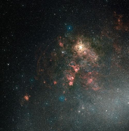 astronomicalwonders: Wide-Field View of the Tarantula Nebula This ground-based view of the Tarantula