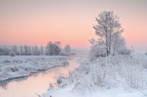 magic-spelldust:Snowy Pastel Winter Scenes by Katarzyna Gritzmann