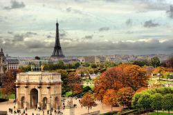 jcoffea:  Autumn in Paris by Toshio on Flickr