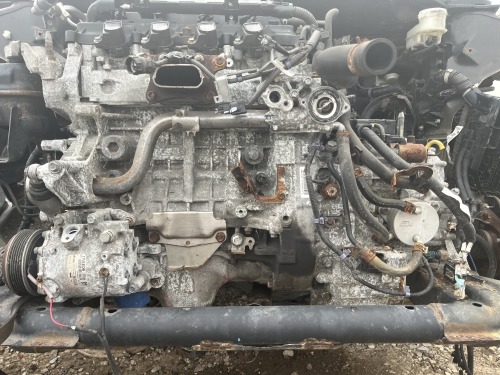 Car Corpse Photos