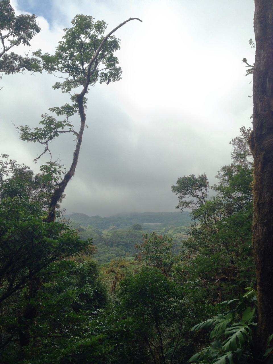 Costa Rica highlights