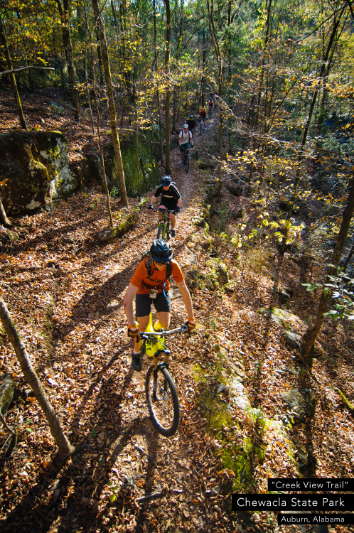 fuckyeahmountainbiking:  “Creek View Trail” Chewacla State Park Auburn, Al www.camp-sorb