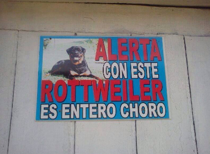 poketchile:  Bueno, ¿qué sucede? 