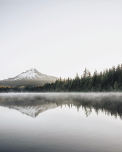 upknorth:  I went to the woods because I wished to live deliberately, to front only the essential facts of life. - H. D. ThoreauMorning quiet in wild places. Perfect shot by @zackkcore | Follow us @upknorth