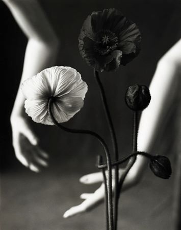 cherban11:  Mark Arbeit 