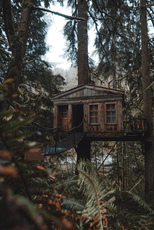 XXX abovearth:  TreeHouse Point by Kendall Martin photo