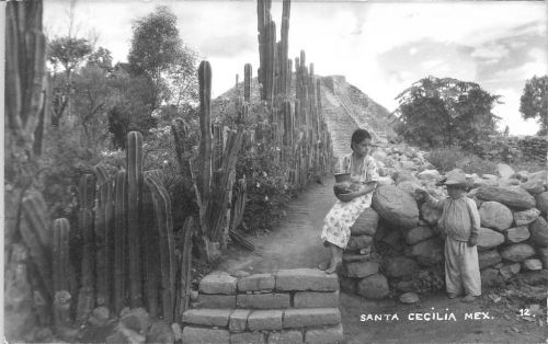 chapultepek:Mexican Ruins Santa Cecilia This vintage postcard shows a pyramid at the ruins of S