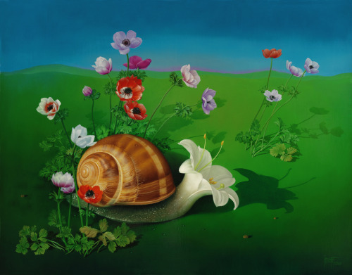 polkadotmotmot:Jose Escofet - Metamorphosis of a Snail, 2007