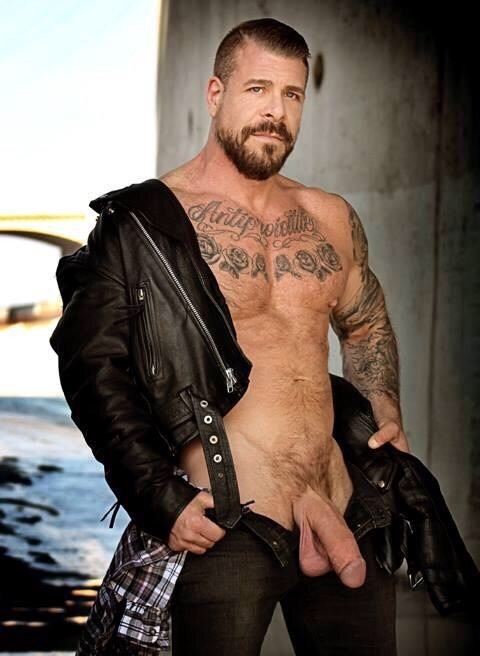 the Gay Male