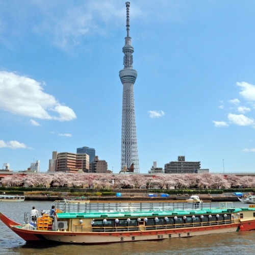深川冨士見 FUKAGAWAFUJIMI isn’t a traditional “cafe”, but they offer great cruises in Tokyo Bay for Lunch