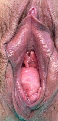 bigpussykat:  Close up of Katherine’s HUGE NATURAL GAPING PROLAPSED MONSTER CUNT. Shes a full meal deal when eating her out! 😈