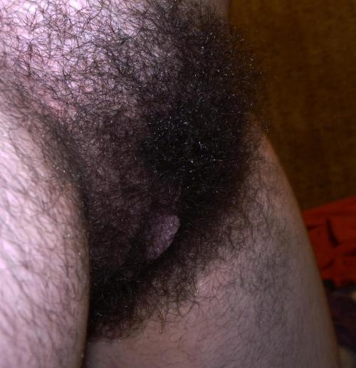 http://velter1.tumblr.com/post/101279679937