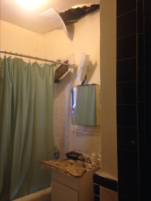 veliseraptor:today in apartment hell