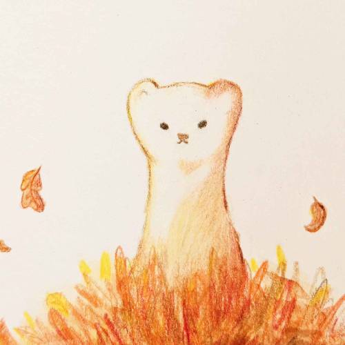 chulip-art - chulip_art