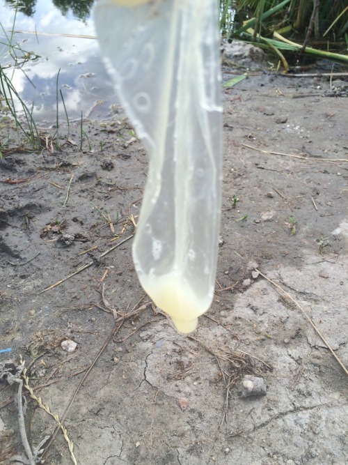 One of the most beautiful fresh full of cum used condom that I found until now! I’d should cum