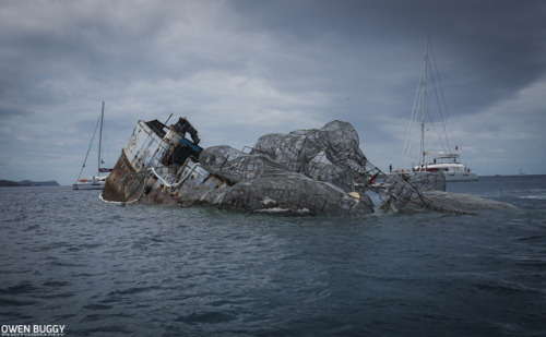 apolonisaphrodisia - Just a casual 80ft kraken sculpture on a...