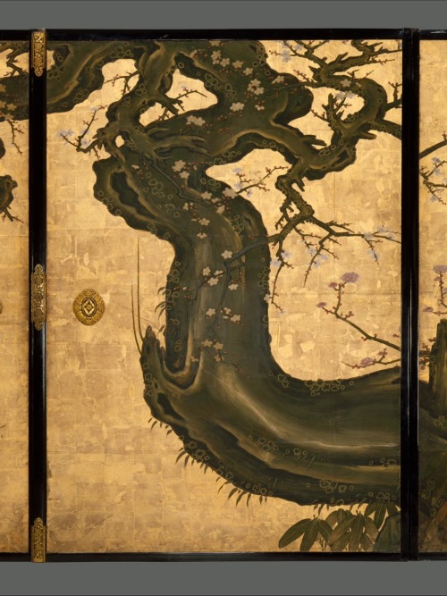 老梅図襖, Old Plum, Kano Sansetsu (Japanese, 1590–1651)