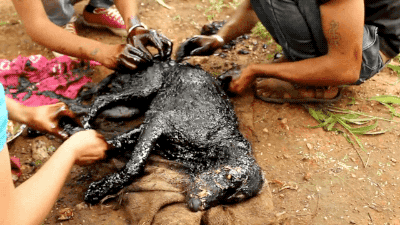 gifsboom:  He had fallen into a pool of hot tar that smothered his body and had became