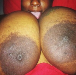 iluvbbwass:  Nothing better then big black BBw titties #iluvbbwass