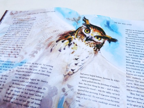 manicpixiedreamdragon: abandonedmarionette: More stunning illustrations from Harry Potter and the So