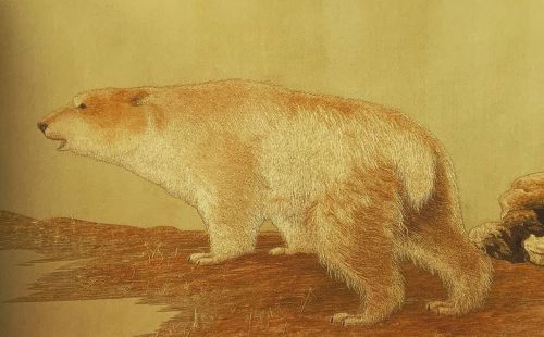 For International Polar Bear Day we present this bear embroidered in silk, made in Japan around 1900