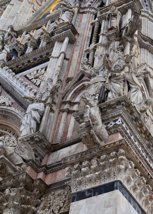 legendary-scholar:    Duomo di Siena (Italy).