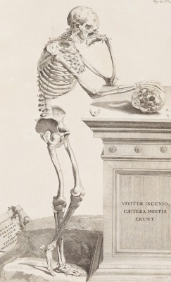 scribe4haxan:    Plate from Opera Omnia Anatomica