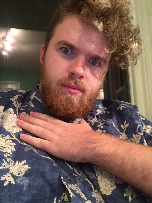 theladydamfino:  This. Is a feel I can understand.