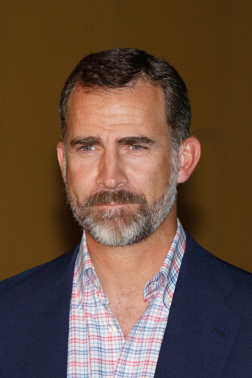 imagerie-des-adultes: Felipe VI