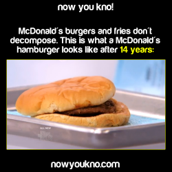 nowyoukno:  Now You Know what a McDonald’s