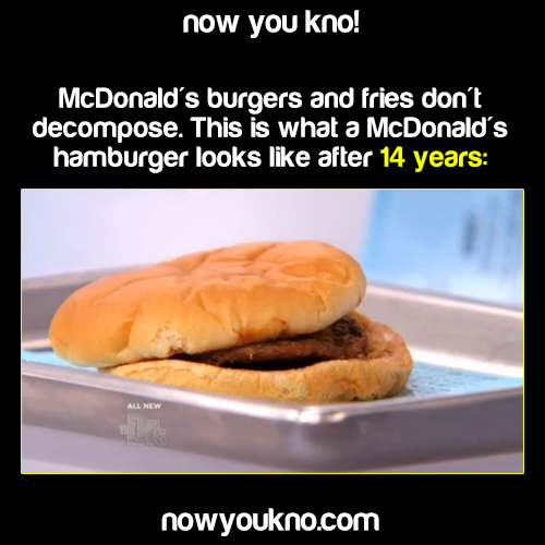 nowyoukno:  Now You Know what a McDonald’s hamburger looks like after 14 years. (Source) 