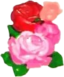 sticker of a cluster of three pink and red roses.