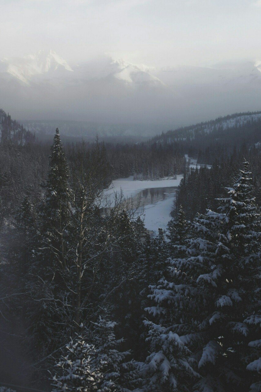 vhaelenleycrest:  Blood in the Snow…   DISLIKE!  *squints*  Best not be dying