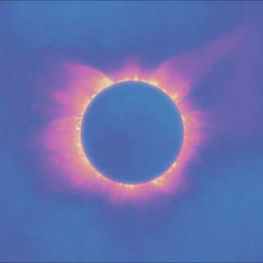 solareclipselgbt: if you are attracted to