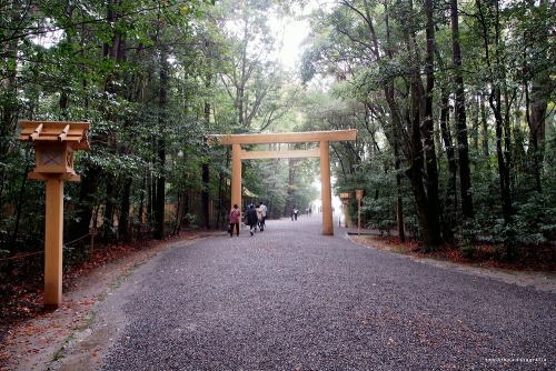 伊勢神宮外宮北御門鳥居 ｔaken on November7,2013＠Ise Jingu (Ise-city,Mie pref.)