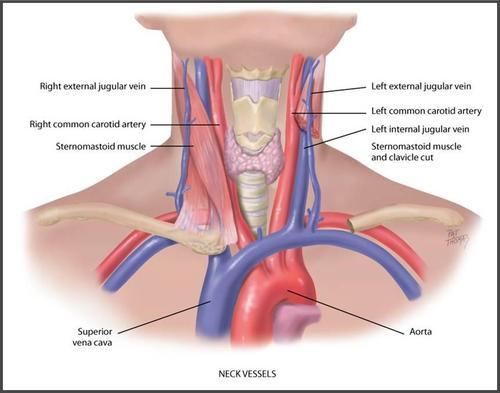 Guide to choking during sex