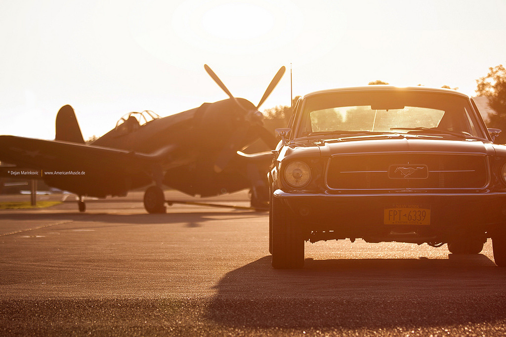 Ford Mustangs