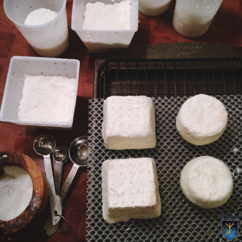 hyperb0rean:Cheese made with raw milk from my goats. #homemade #hyperboreanhomestead