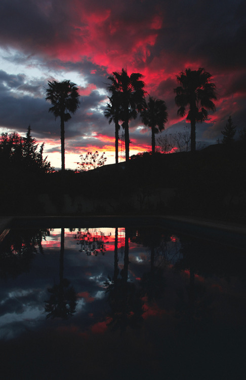 words-of-emotion:  woe