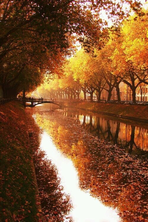 willkommen-in-germany:Autumn in Düsseldorf, Nordrhein-Westfalen, Northwestern Germany
