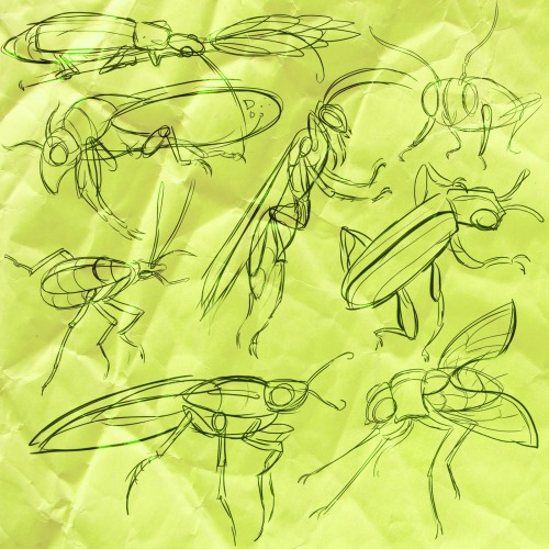 luffik:A bunch of insect practice! They’re one of my fave things to draw, because of their simple fo