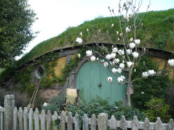 glihttery:  is this a hobbit house 