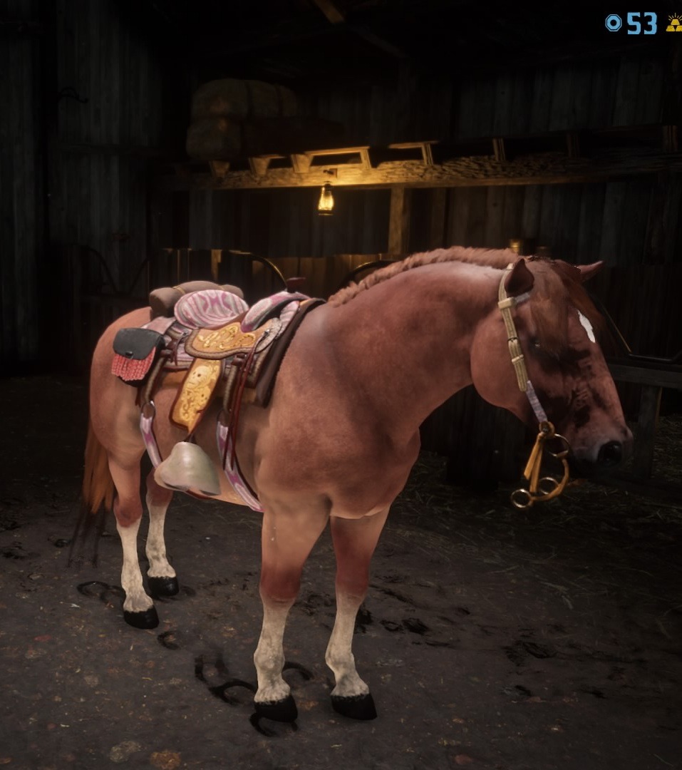Ceez [+] on X: My Horse, Ur BBEETTCH is as Ride or Die as they come..  but definitely not the brightest. #RDR2 #RedDeadRedemption2 #TheViewage   / X