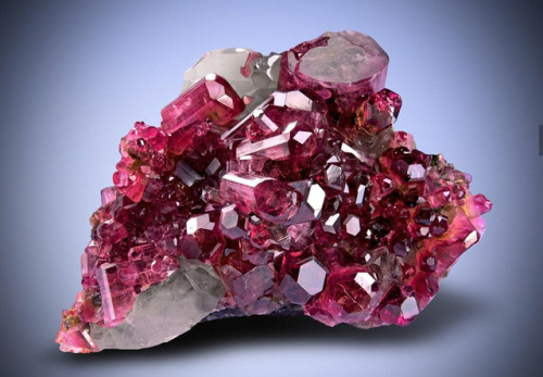 themineralandgemnephilim:Rubellite Tourmaline clusterBurma (Myanmar)Scientific Facts,Refractive Inde