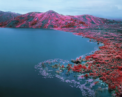 ehosk:  Richard Mosse - The Enclave (2012) From HUH. Magazine: “…shot using discontinued military surveillance film formerly used to identify camouflaged targets. Mosse and his team spent three years in eastern Congo to shoot the unsettling series,