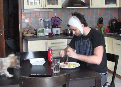 onlylolgifs:  When someone tries to steal your food …