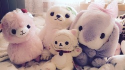 threealpacas:  New stuffies!! 🦄