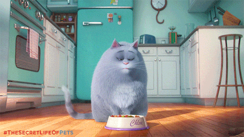 universalpicturesuk:  I didn’t order this! #TheSecretLifeOfPetsSee it first June 18 & 19. www.PetsTickets.co.uk