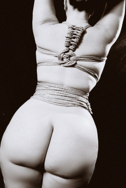 southernsir:  Shibari Saturday 