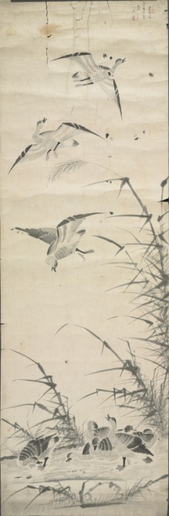 Wild Geese and Reeds, 1392-1910, Cleveland Museum of Art: Korean ArtSize: Including mounting: 70.8 x